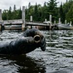 Missouri’s Aquatic Cowboy Elevates Underwater Recoveries at Lake of the Ozarks